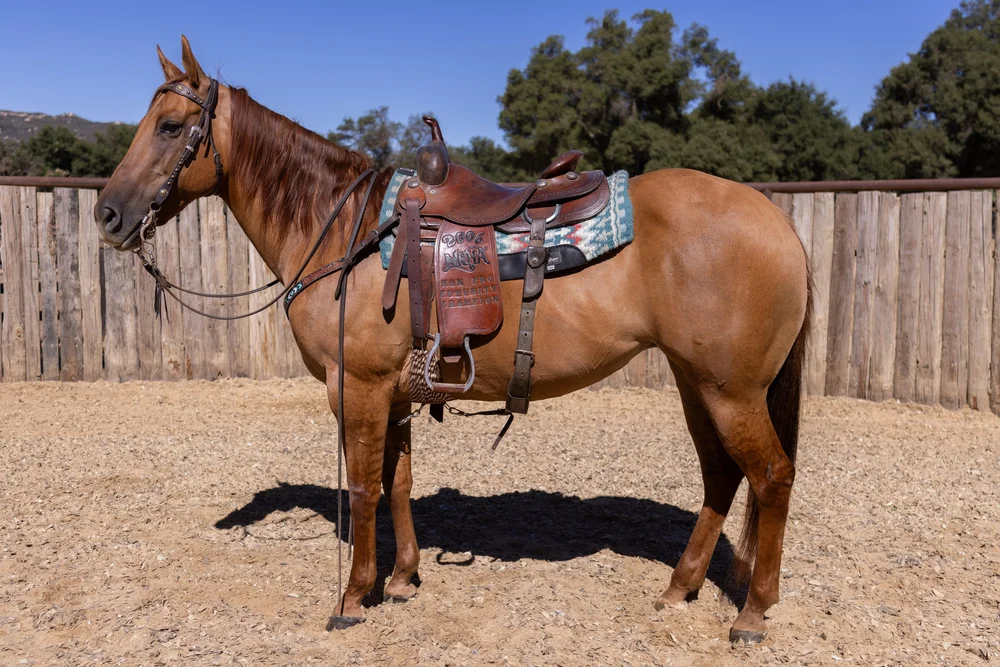 Blossom+saddle+left