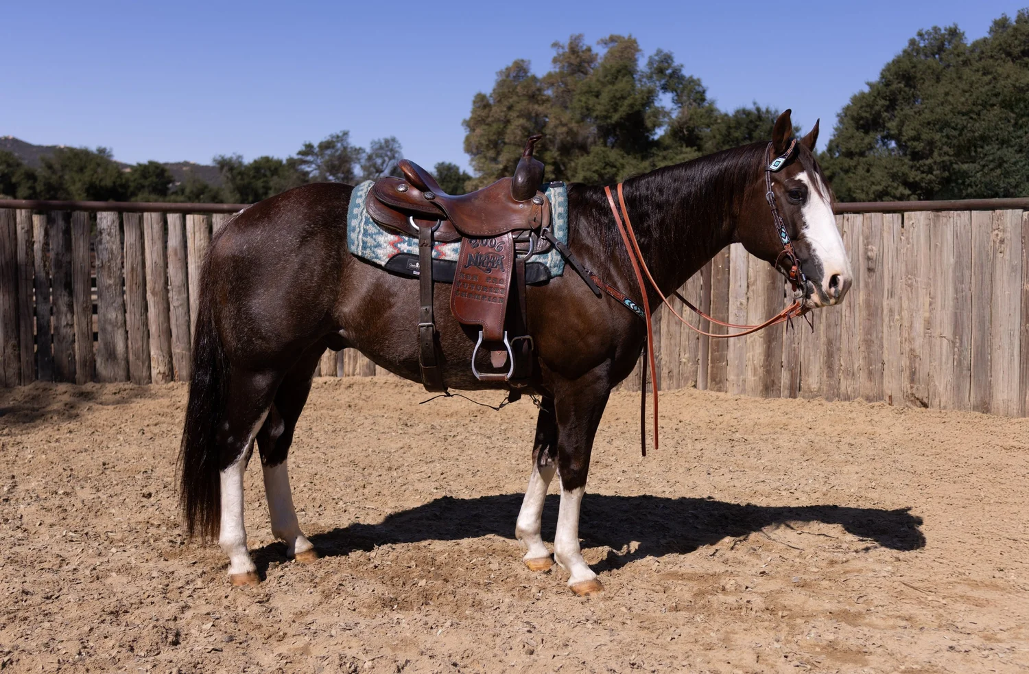 Boots+saddle+right