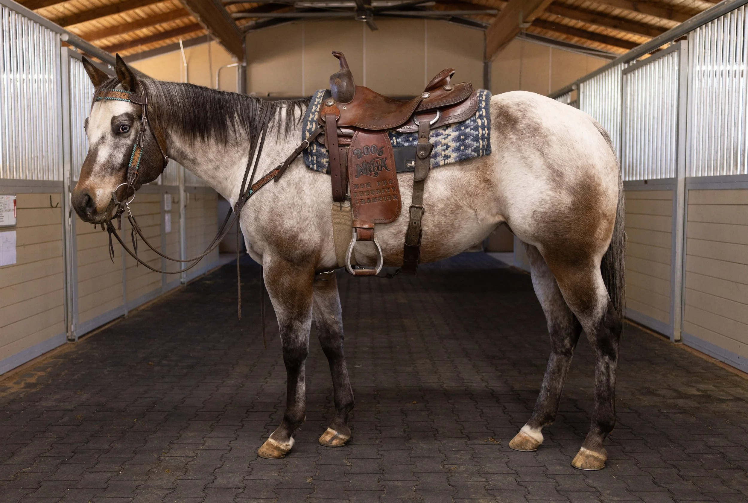 Boots+saddle+right