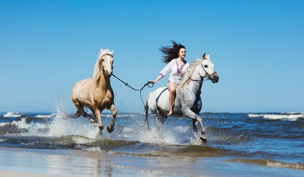 HorsebackRidingSanDiego
