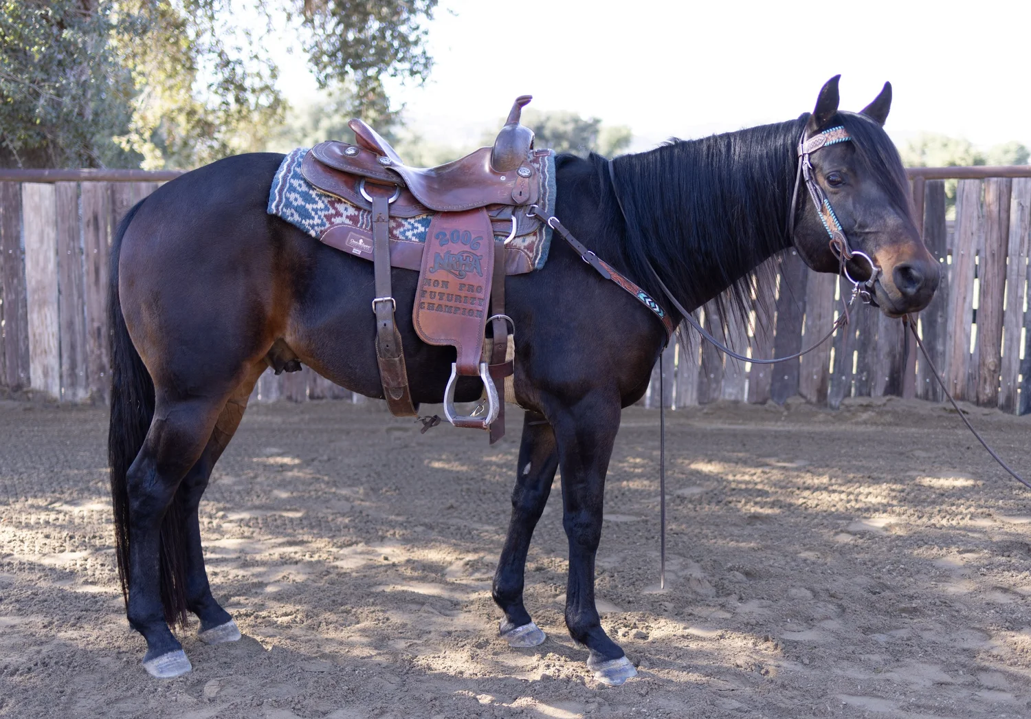 Jericho+saddle+right