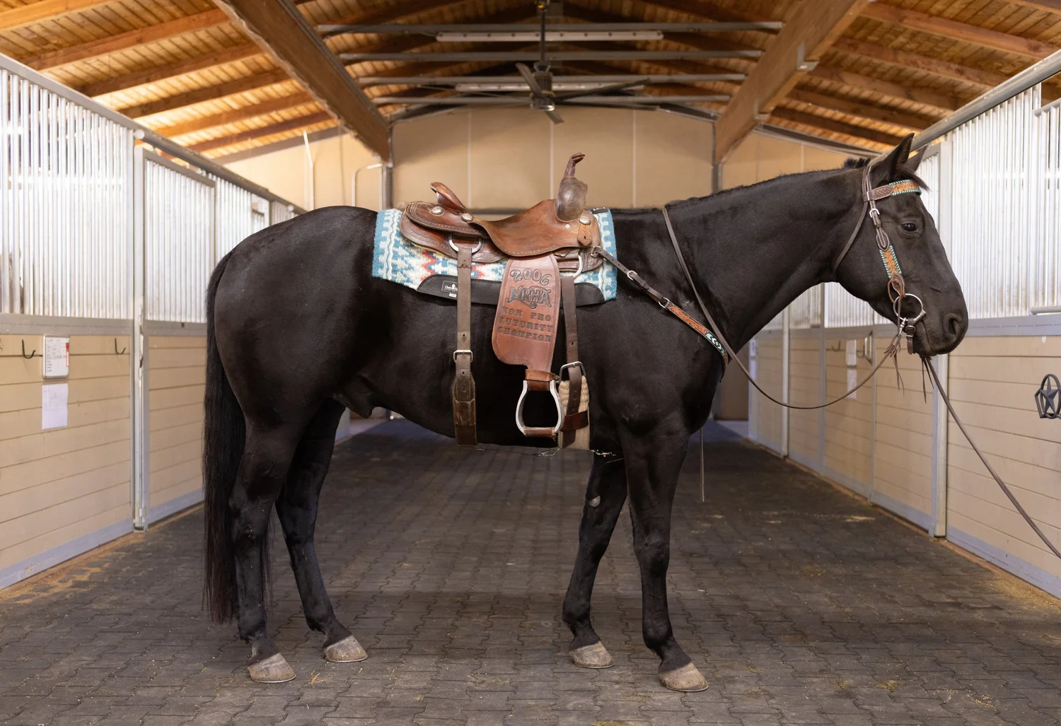 Maisy+saddle+right