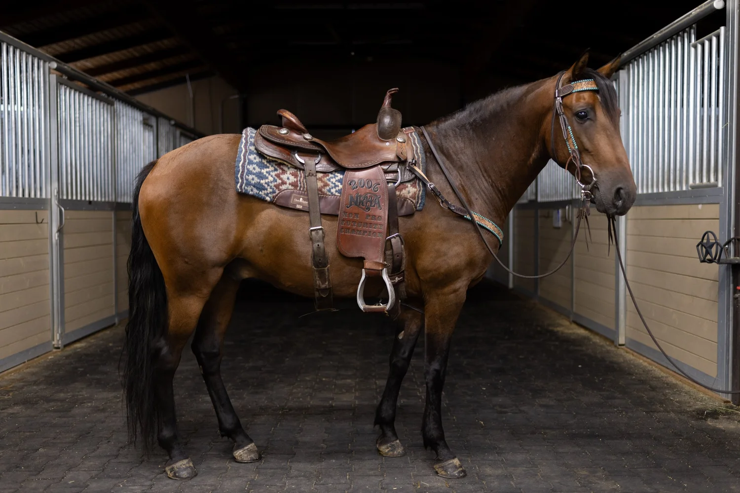 Santiago+Saddle+Right