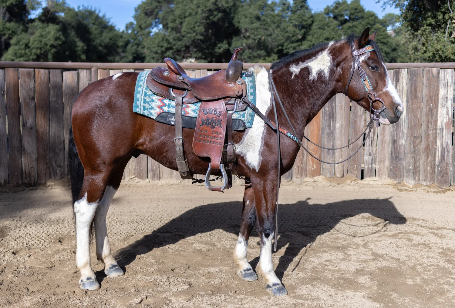 Comanche+saddle+left